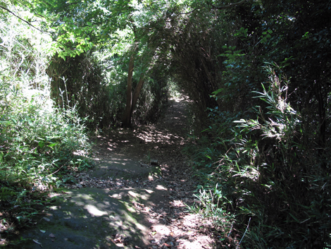 20150715hike (46)